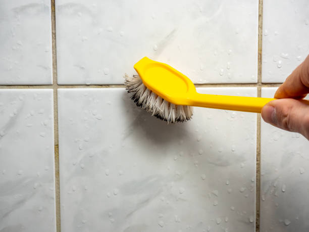 Mold Removal and Inspection in Squirrel Mountain Valley, CA