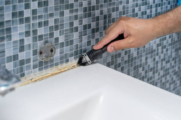 Best Home Mold Removal  in Squirrel Mountain Valley, CA